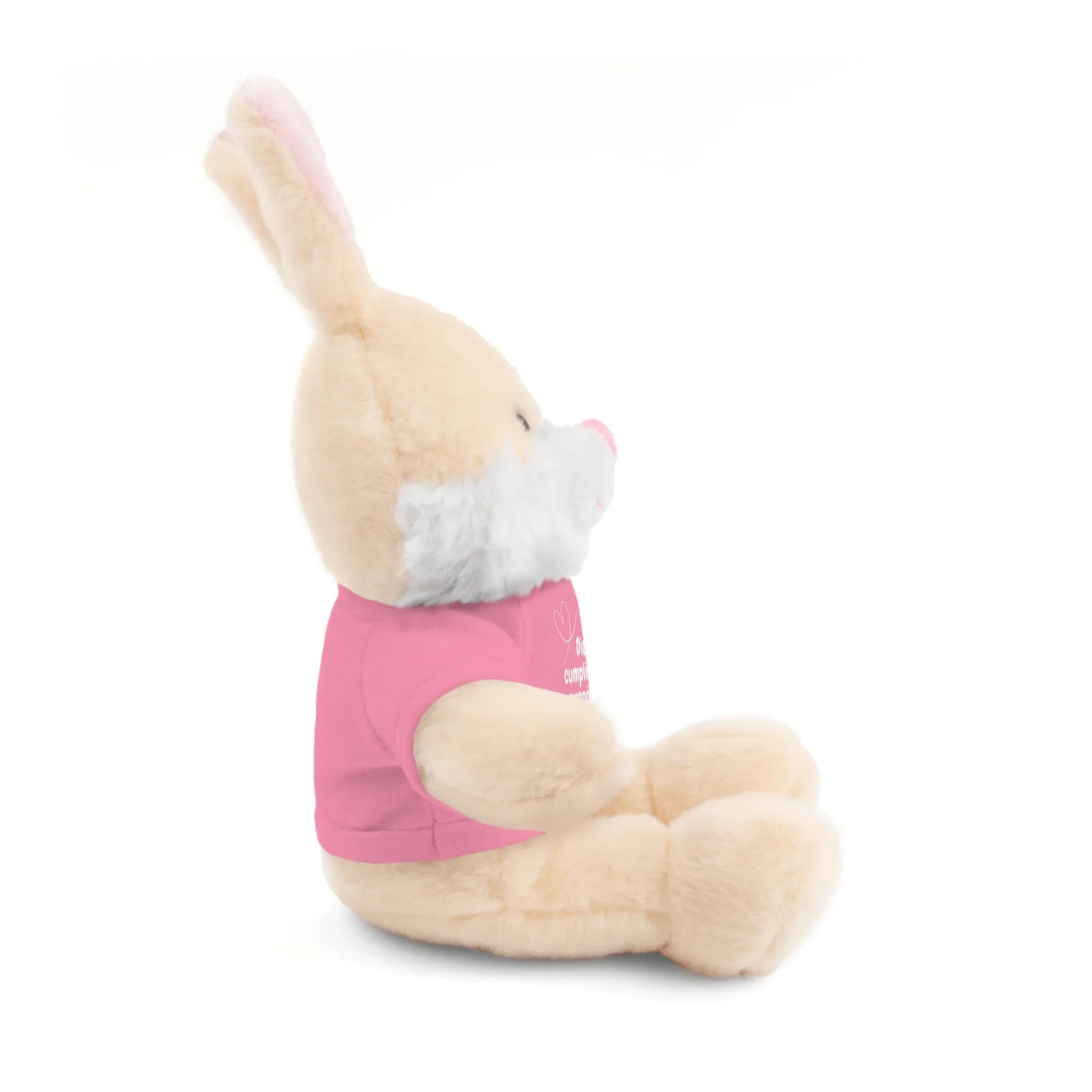 Plush bunny toy wearing a pink shirt with Christian inspirational message