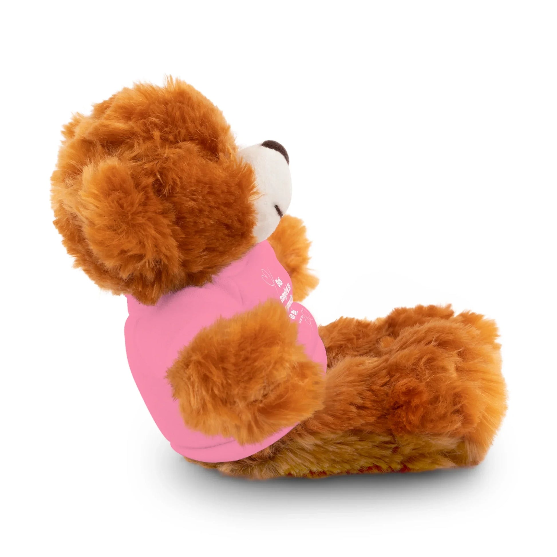 Plush brown teddy bear wearing a pink shirt with white text, side view, on white background.