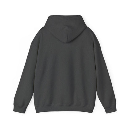 Sudadera Cristiana con Gorro - "Venga tu Reino" Mateo 6:10 - Christian Hoodie - Unisex Faith Sweatshirt in Black, Maroon, Navy